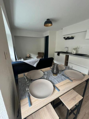 Studio cozy au centre de Gray